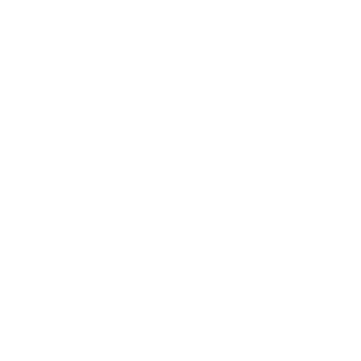 Brooks Auto Detailing shine icon